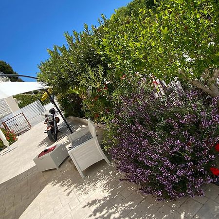 Lagarolina Del Conero B&B Sirolo Ngoại thất bức ảnh